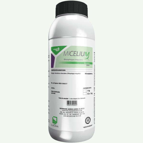 Micelium